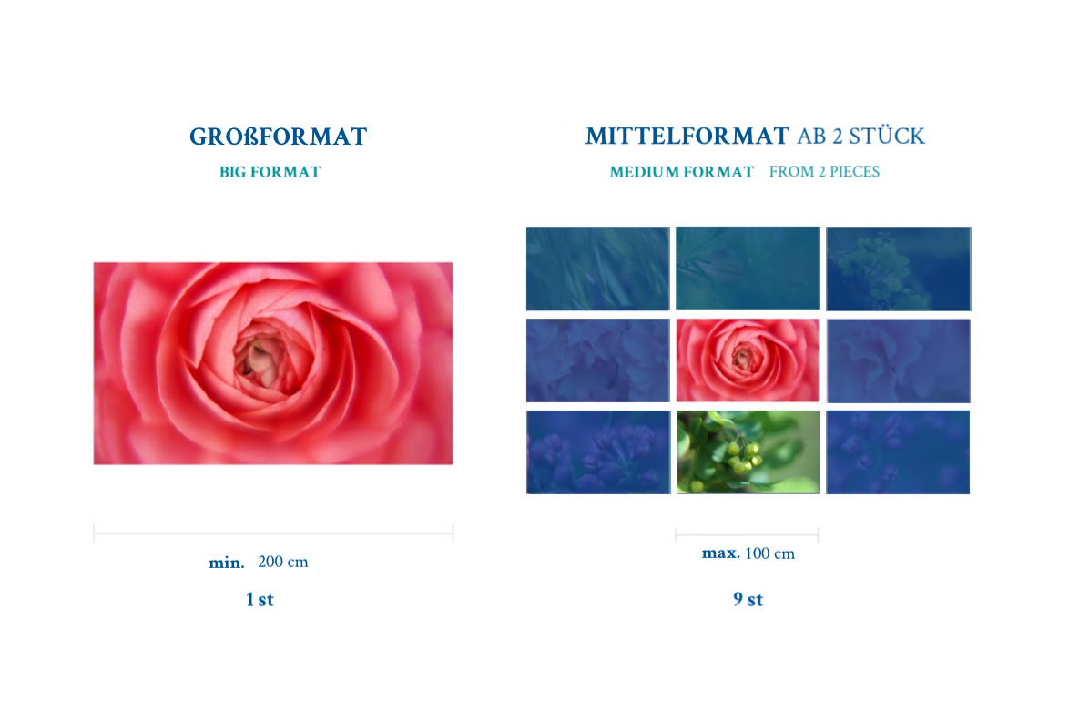 Großformat und Mittelformat limitierung